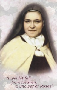 St. Therese Shower of Roses 001