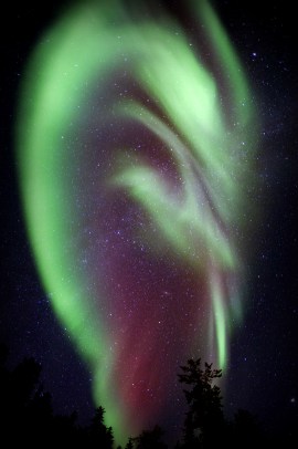 God Hears All Things