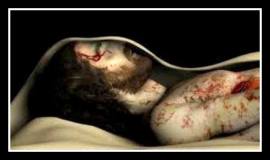 JESUS BURIAL